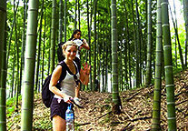 Viator Bamboo-Forest